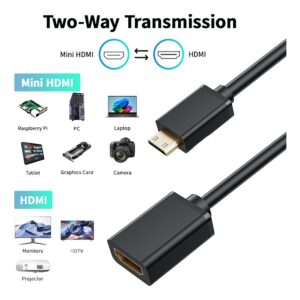 Adaptateur mini HDMI vers HDMI en 4K a 60 Hz, 2.0, vue de face