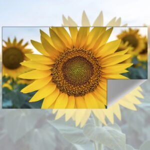 Écran de projection en tissu réfléchissant, deux tailles, vue de trois quarts